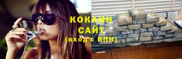 сатива Алзамай
