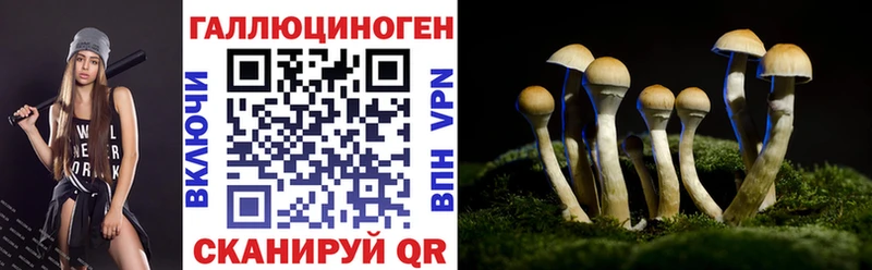Галлюциногенные грибы Psilocybine cubensis Курск