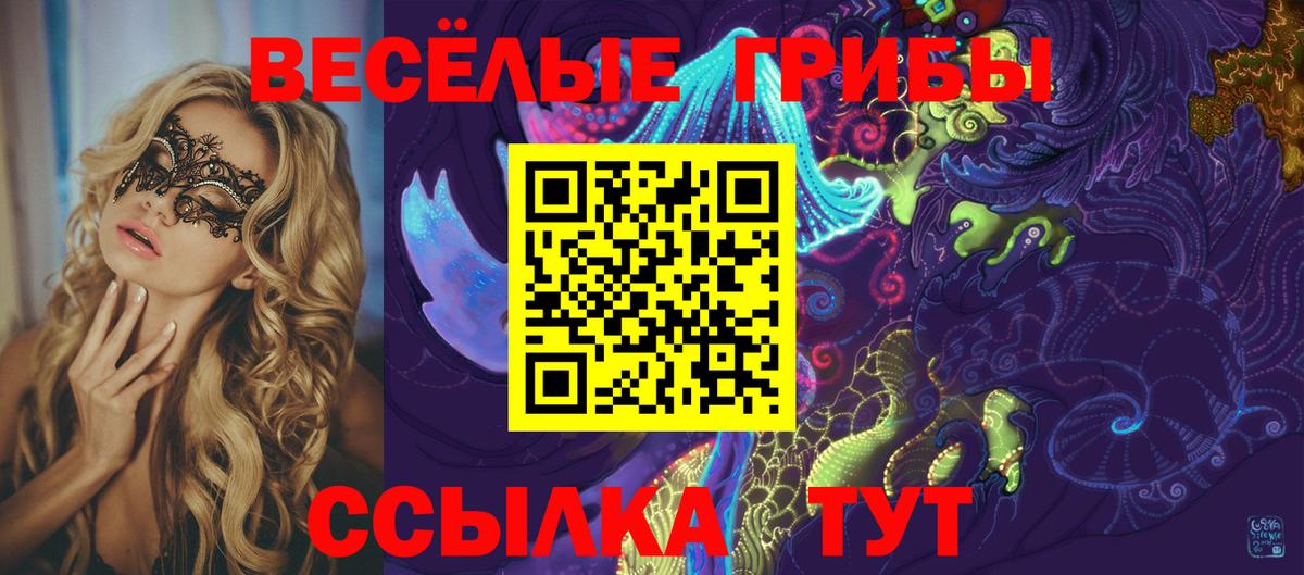 Курск  как найти закладки  Вход с VPN  Галлюциногенные грибы мухоморы 