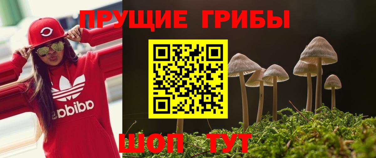 Галлюциногенные грибы MAGIC MUSHROOMS Курск